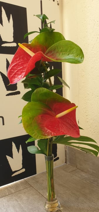 Sonstiges Princess Taurito