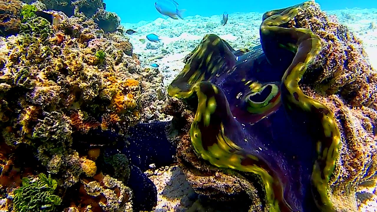 Sport & Freizeit Adaaran Select Hudhuran Fushi - Premium All Inclusive