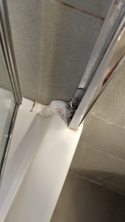 Zimmer Hotel Majestic