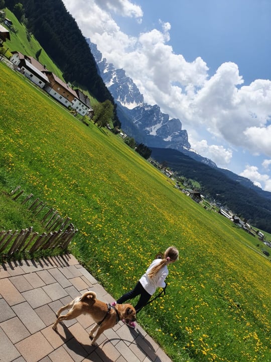 Ausblick Pleasant Apartment in Gosau near Ski Area