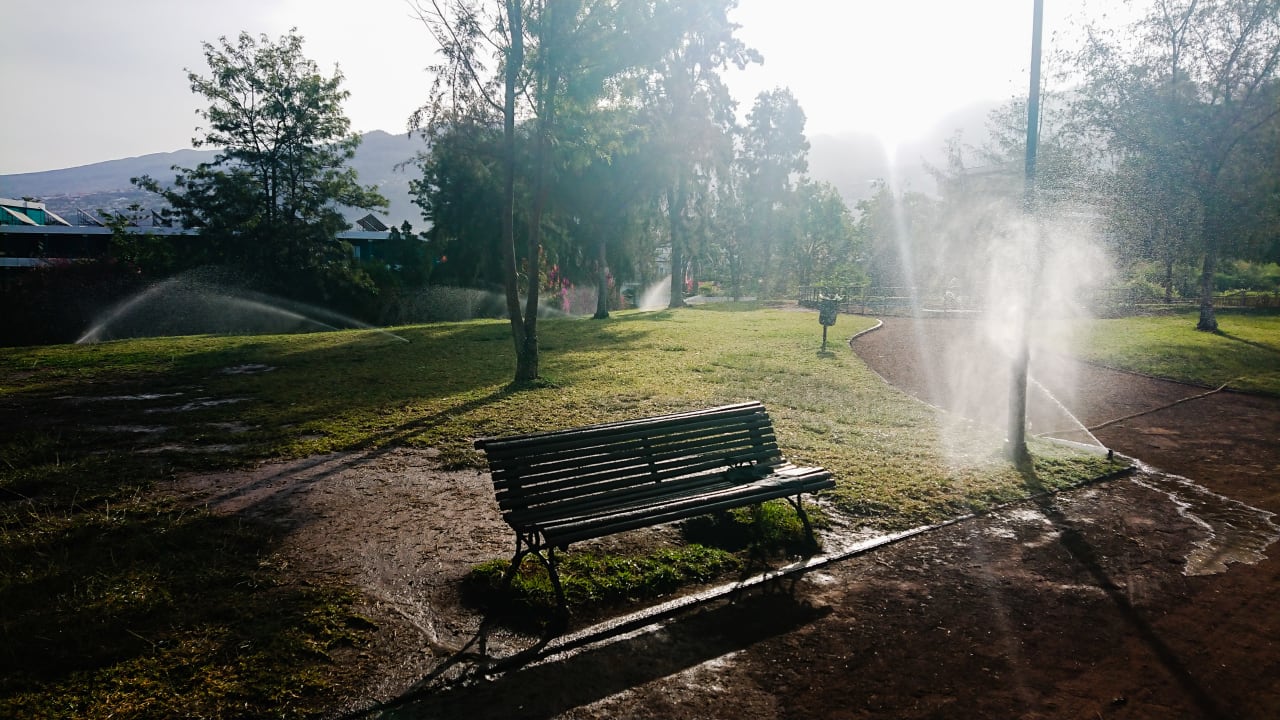 Gartenanlage TRH Taoro Garden