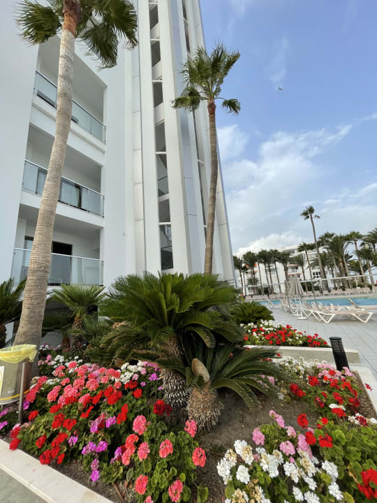 Ausblick Hotel Riu Monica - Adults only