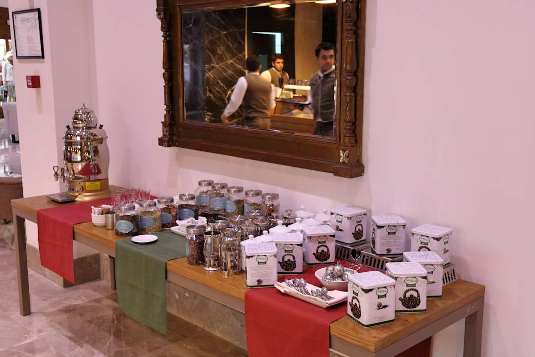 Gastro Acanthus Cennet Barut Collection