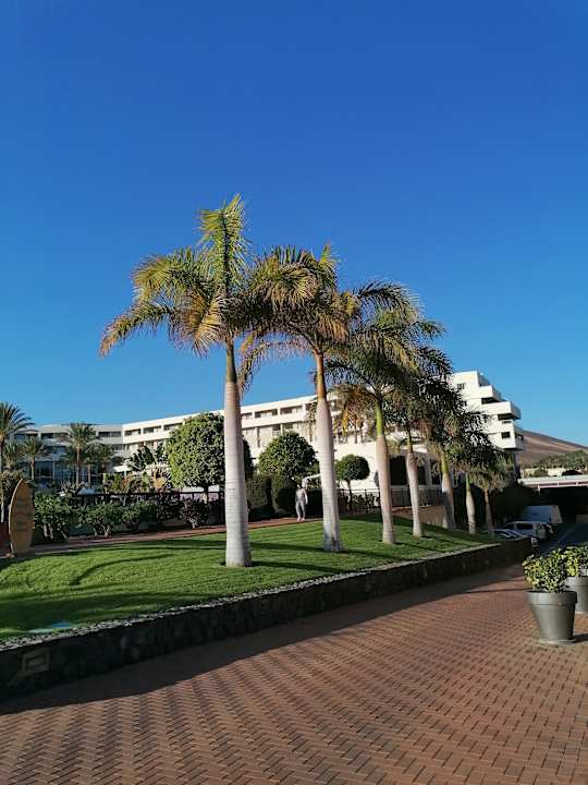 Gartenanlage Iberostar Waves Gaviotas Park