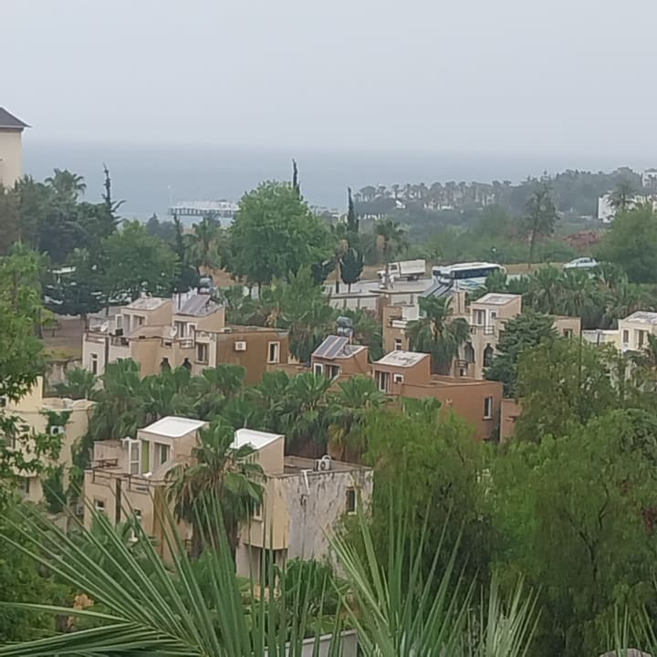 Ausblick Hotel Gardenia Beach