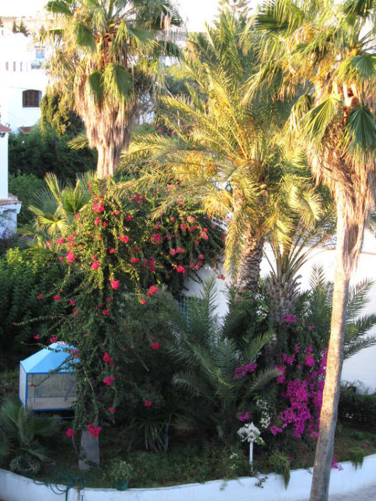 Widok z balkonu (bez dopłaty) Hotel Le Khalife