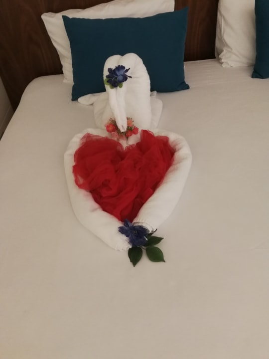 Zimmer Seashell Vega