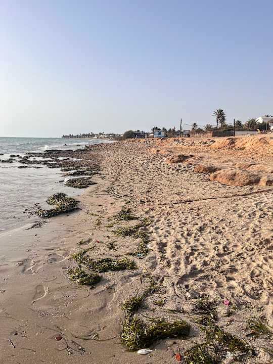 Strand Vincci Safira Palms