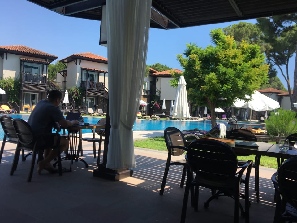 Gastro Papillon Ayscha