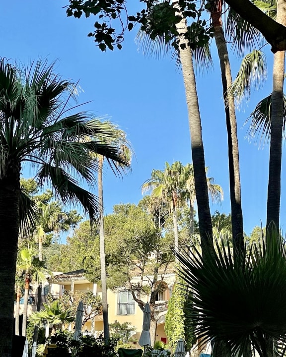 Gartenanlage R2 Lago Playa Park