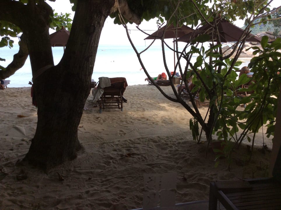 Vor unserer Terrasse  Buri Rasa Village Phangan