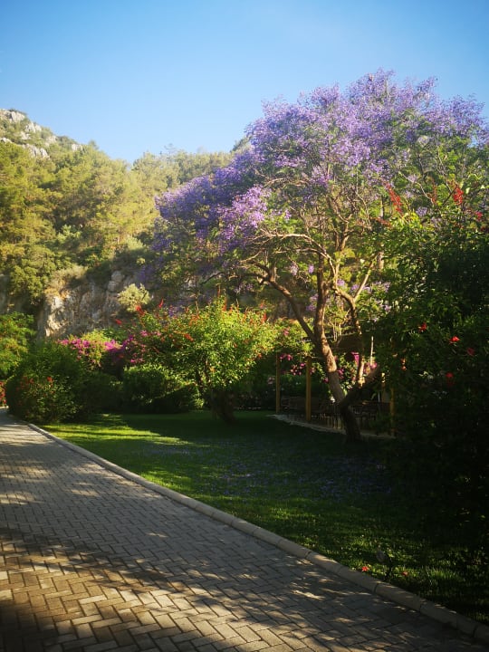 Gartenanlage TUI MAGIC LIFE Sarigerme