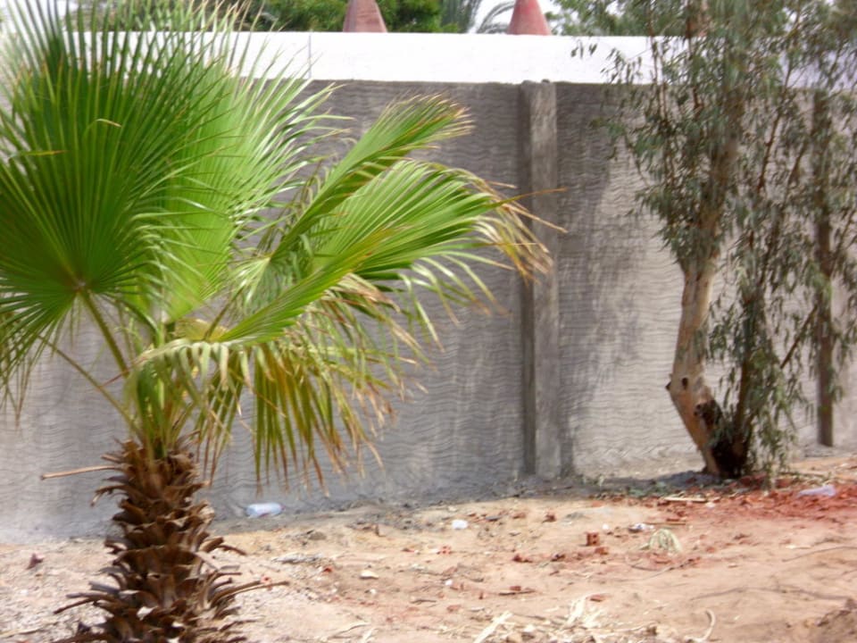 Baustelle Albatros Sharm Resort