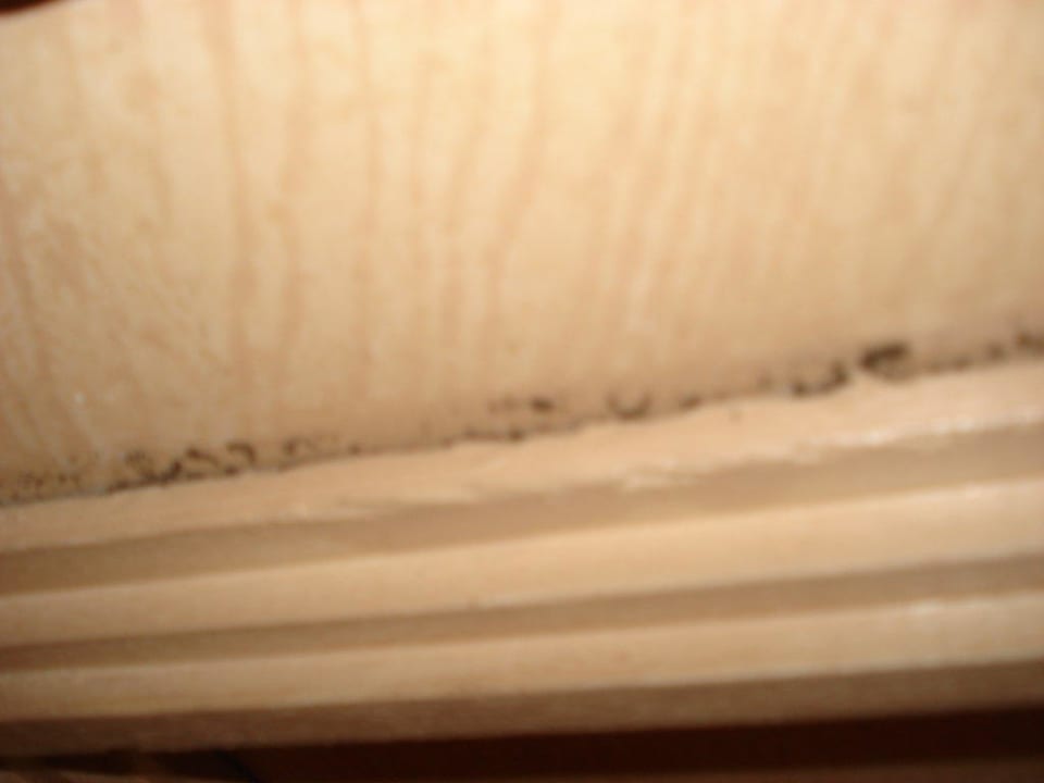 Brud w pokoiku Hotel Argana