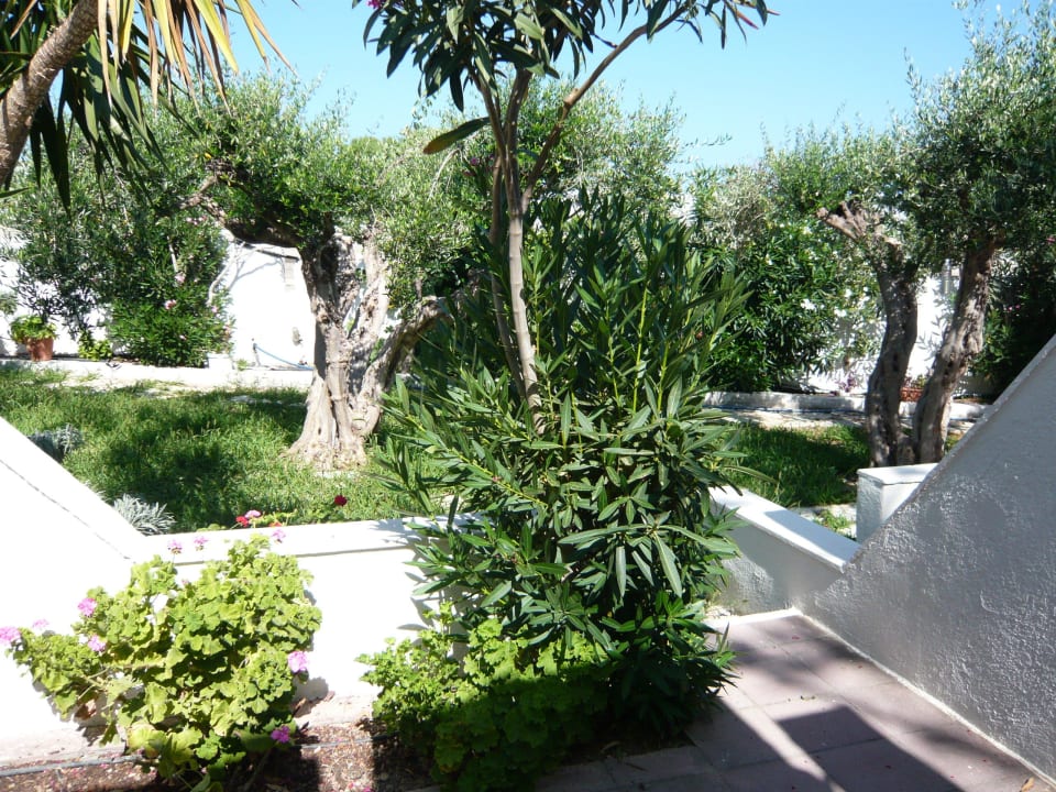 Terrasse Bungalow 3 Coriva Beach Hotel & Bungalows