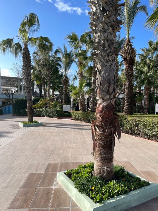 Gartenanlage Hotel Delphin Imperial