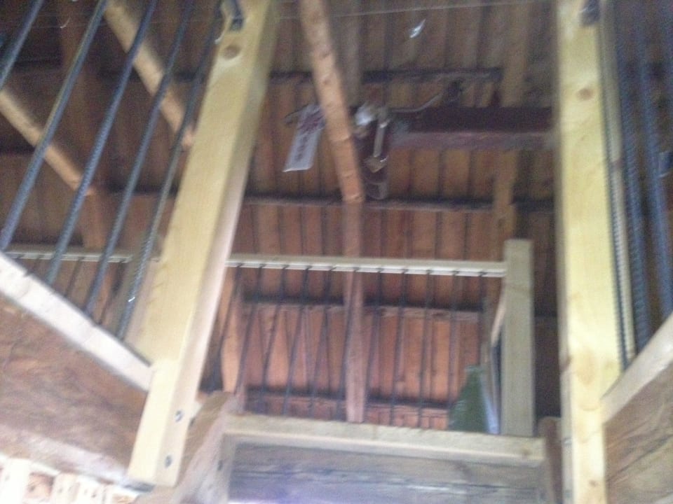 Bienenalm LUXGUT - OLIVIA