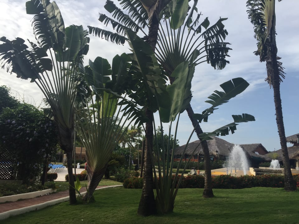 Gartenanlage Marien Puerto Plata