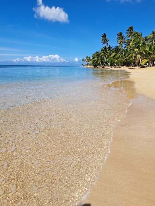 Strand Viva V Samana by Wyndham – Adults Only