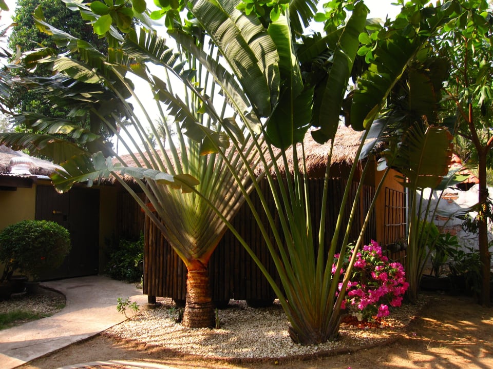 In der Anlage Hotel Lanta Castaway Resort