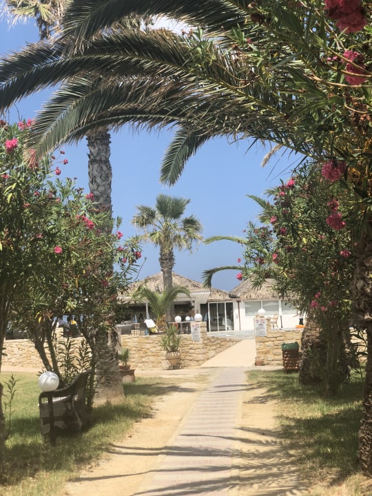 Gastro HARPIN Happy Days Beach Hotel