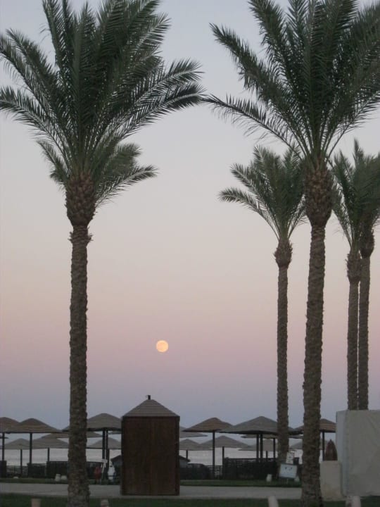 Sonnenuntergang im Paradies Makadi Palace