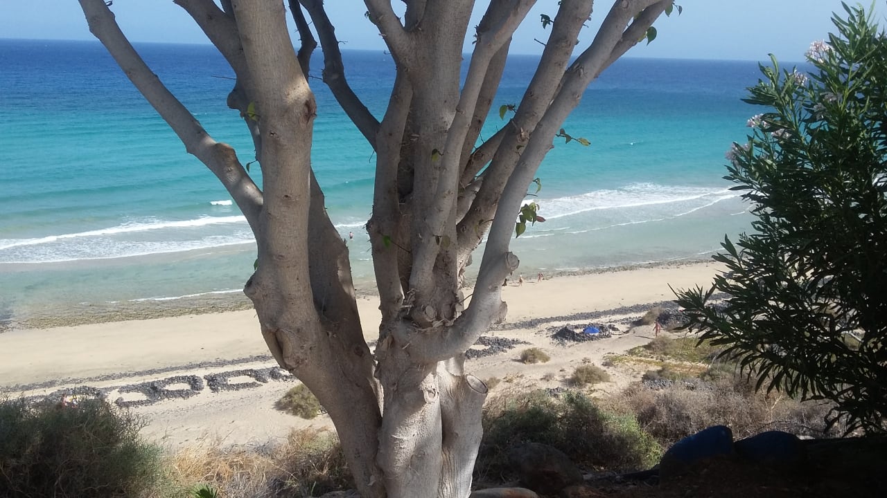 Strand Marina Playa Suite Hotel