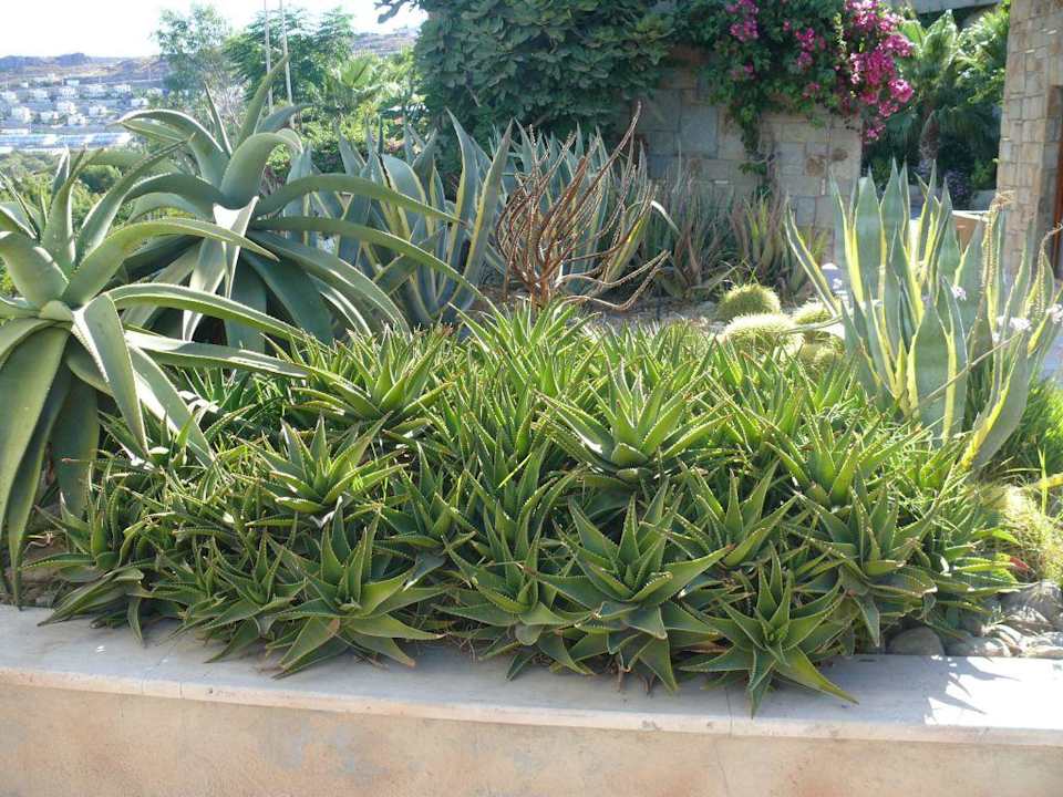 Hotel light hause Jura Hotels Bodrum Resort