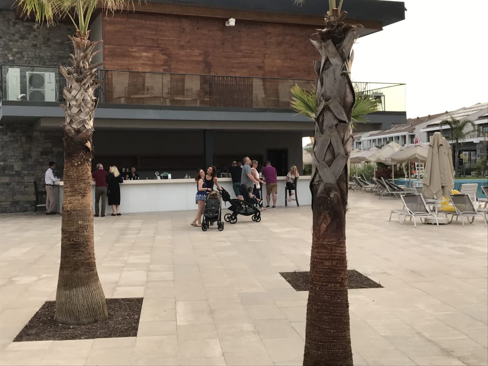 Gastro Jiva Beach Resort