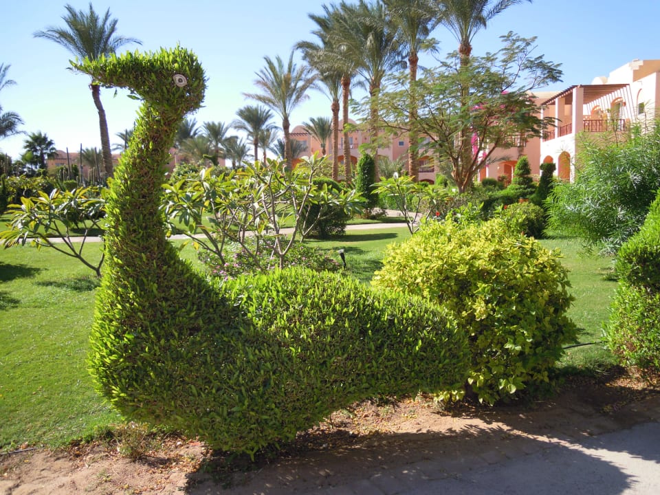 Wunderschön geschnittene Büsche, hier als Vogel Jaz Makadi Oasis Resort