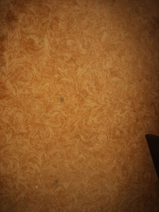 Schmuzige Teppiche Hotel San Carlo Vacanze