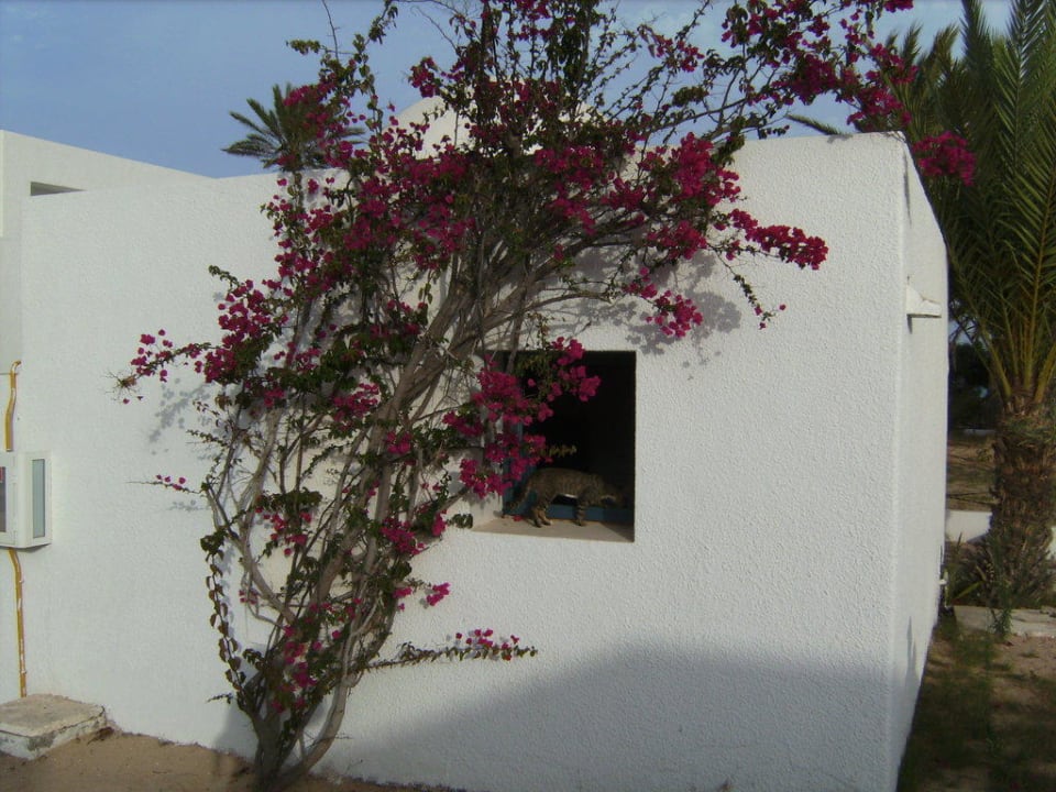 Menzel Hotel El Mouradi Djerba Menzel