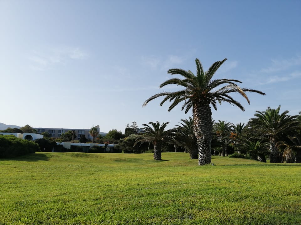 Gartenanlage Caravia Beach Hotel