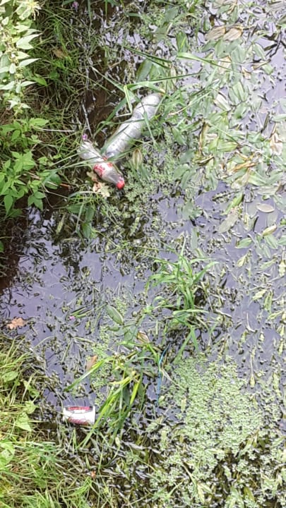 Sonstiges Ferienzentrum Schloss Dankern