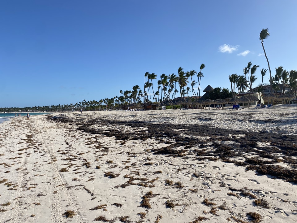 Strand Impressive Premium Punta Cana