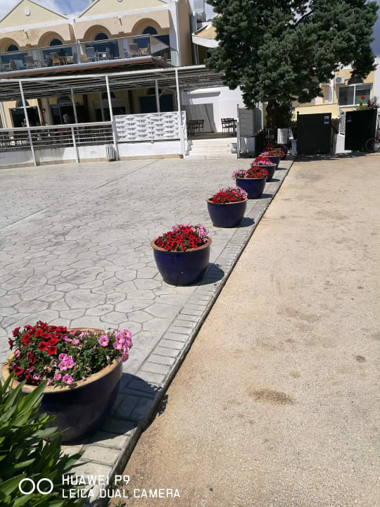 Gartenanlage Sandy Beach Resort