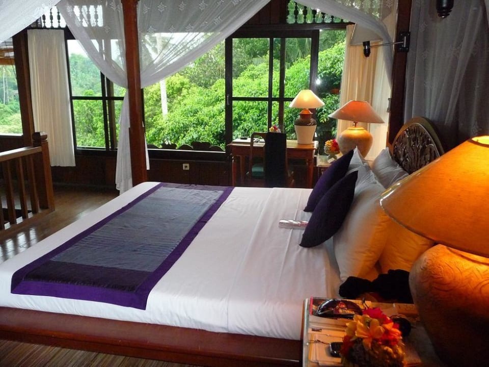 Blick aus dem Schlafzimmer in den Regenwald Hotel Alam Indah