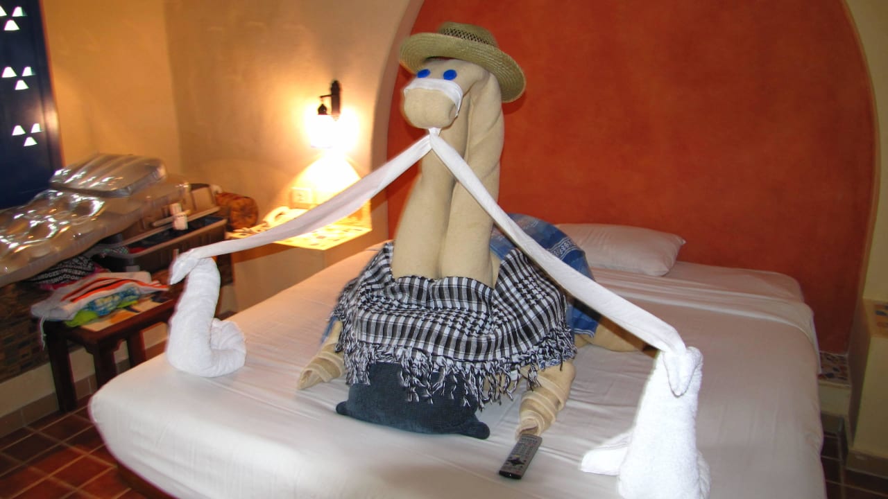 Kamel im Zimmer unserer Freunde Marina Lodge At Port Ghalib
