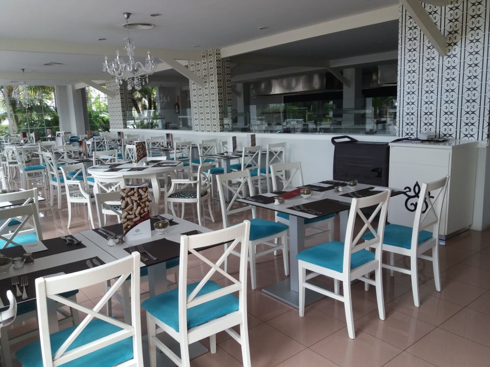 Gastro Garden Saladina