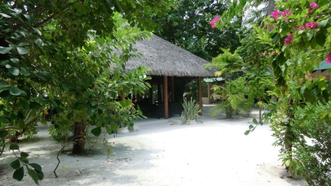 Inmitten der Insel Summer Island Maldives