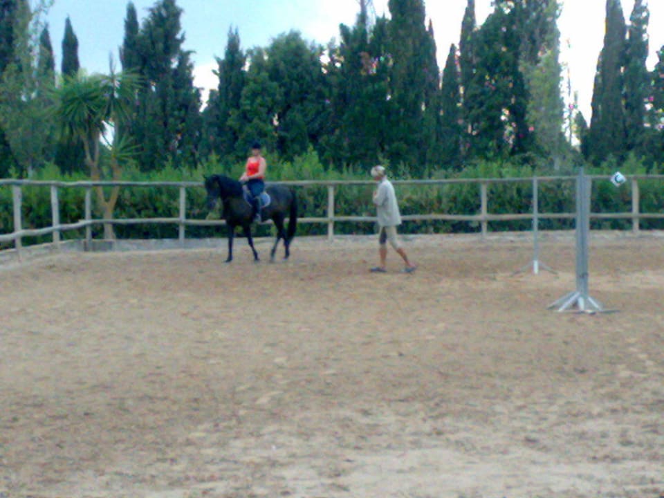 Reitplatz Finca Son Menut