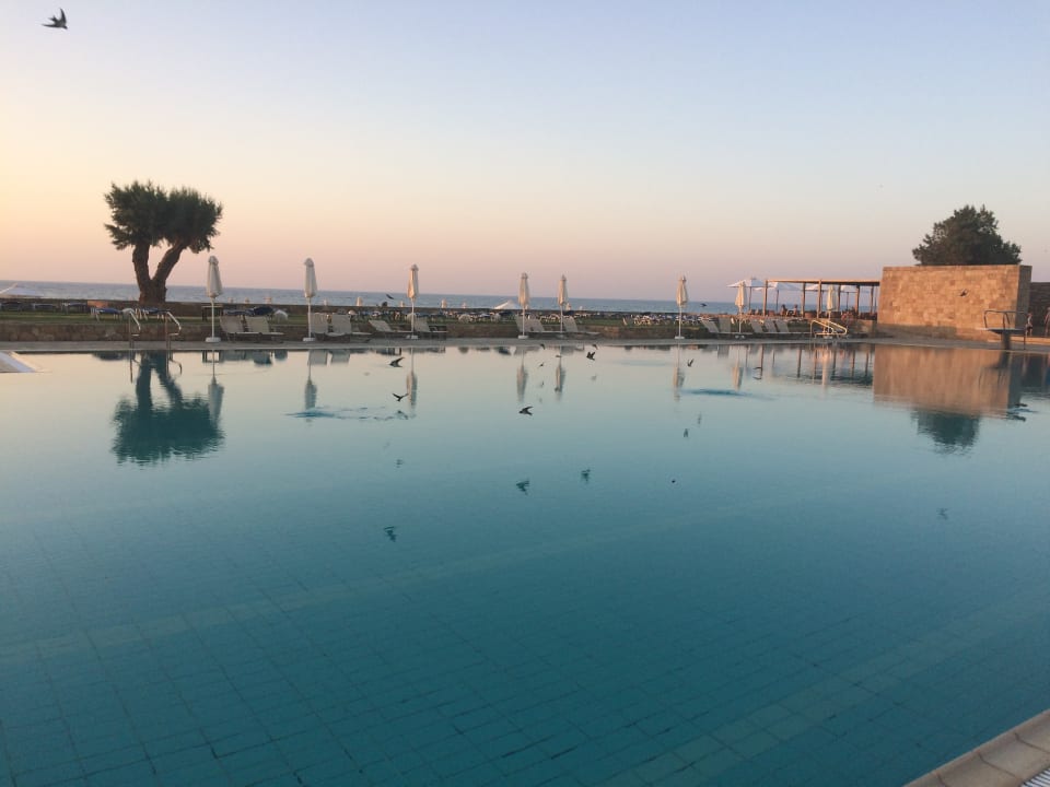 Pool Kernos Beach Hotel & Bungalows