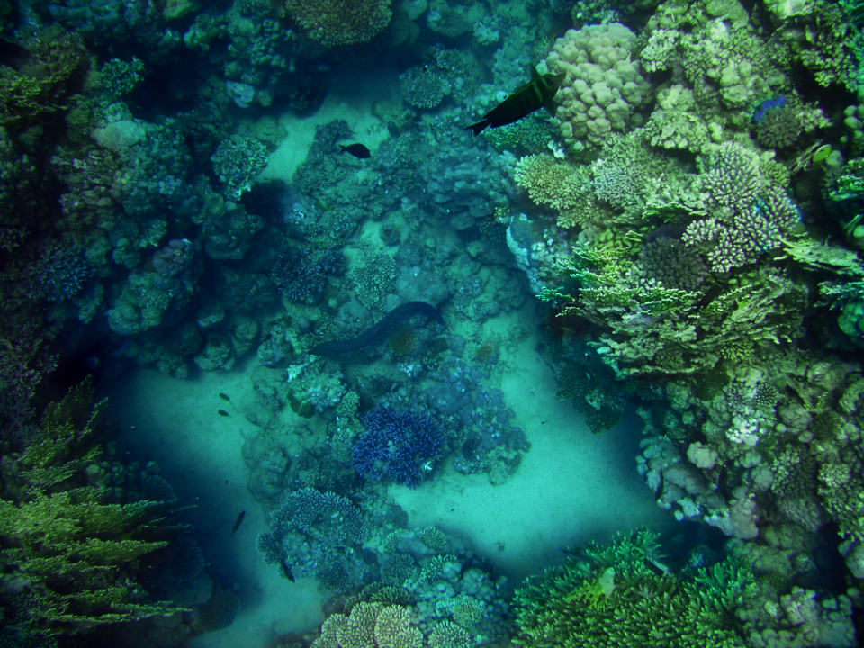 Strand Three Corners Equinox Beach Resort