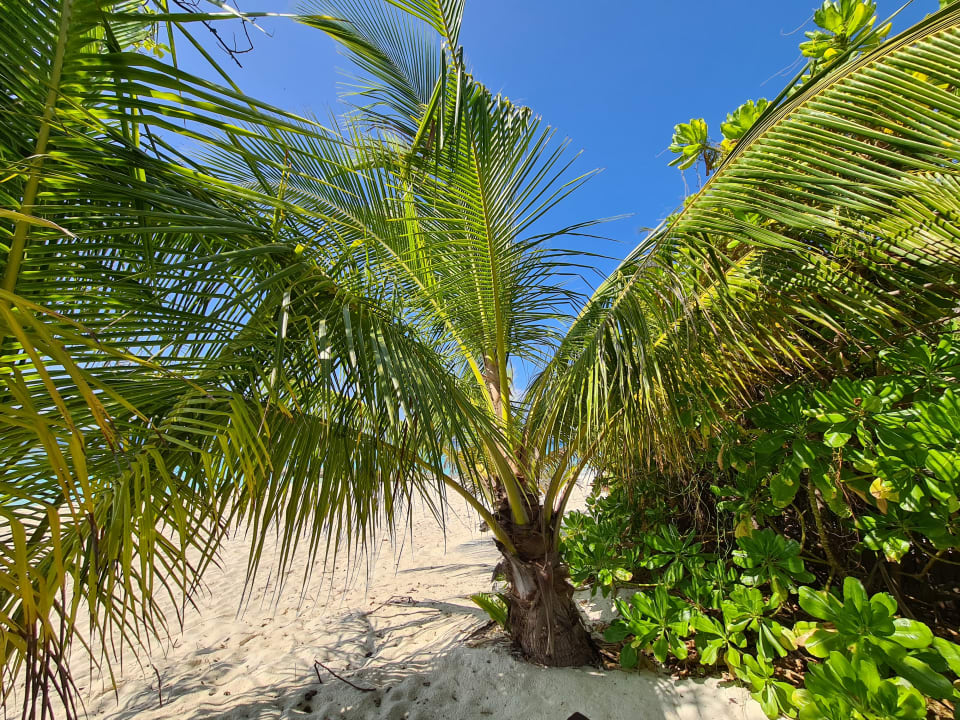 Strand Adaaran Select Meedhupparu Island Resort - Premium All Inclusive