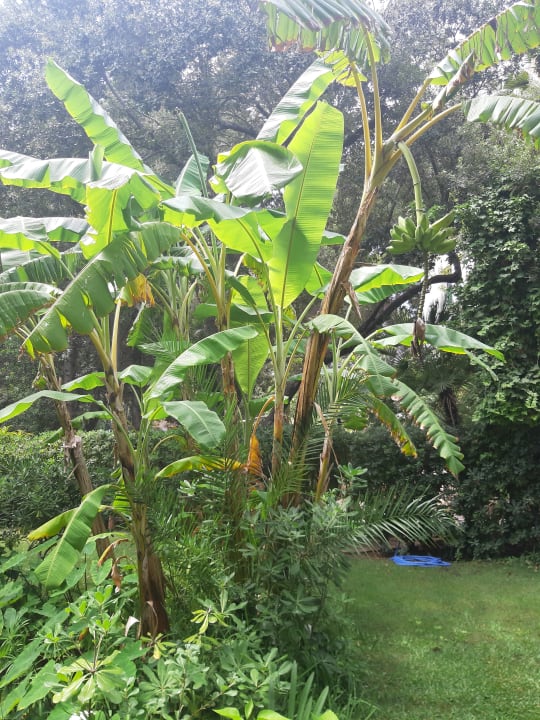 Gartenanlage Lago Garden