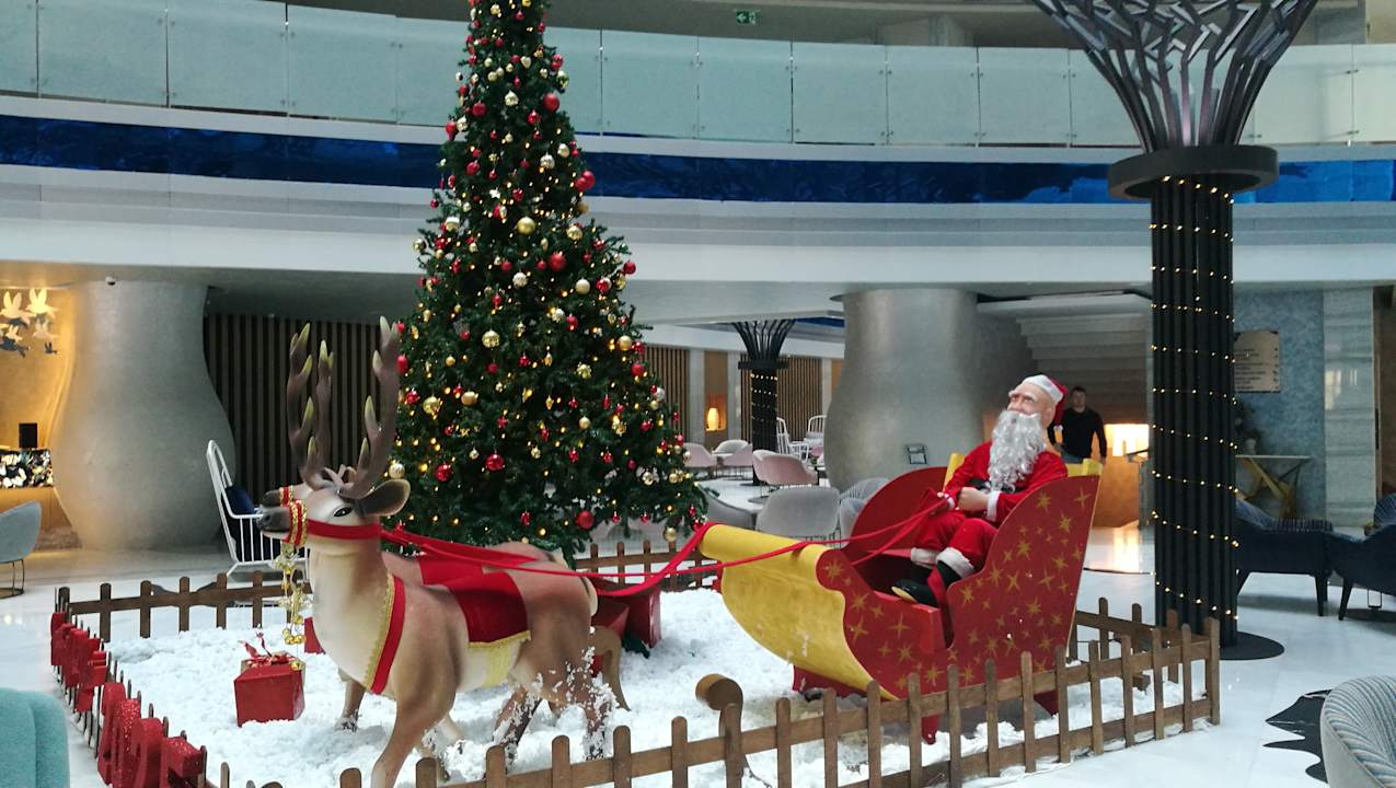 Sonstiges Royal Wings Hotel