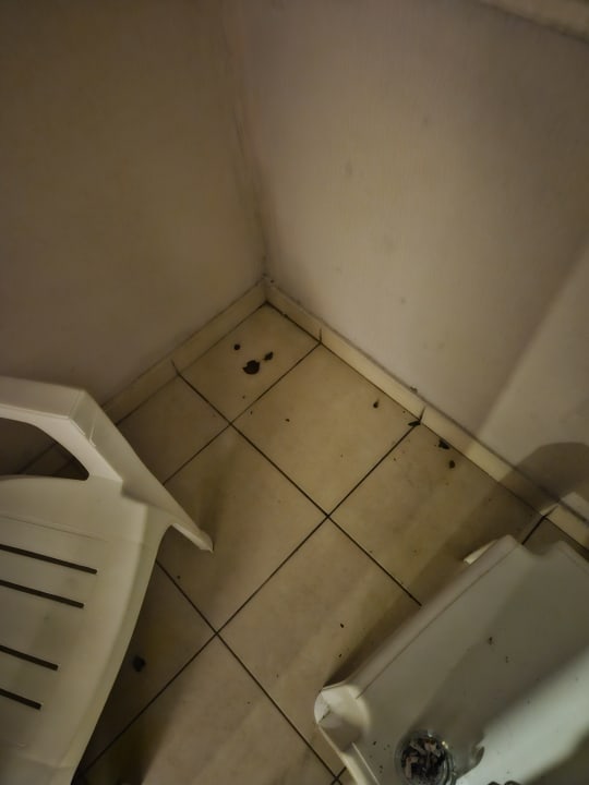 Zimmer Sealife Buket Resort & Beach