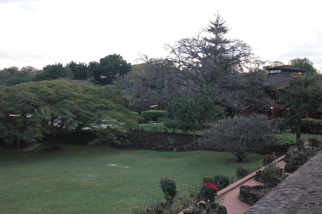 Parkähnlich angelegt Manyara Wildlife Safari Camp