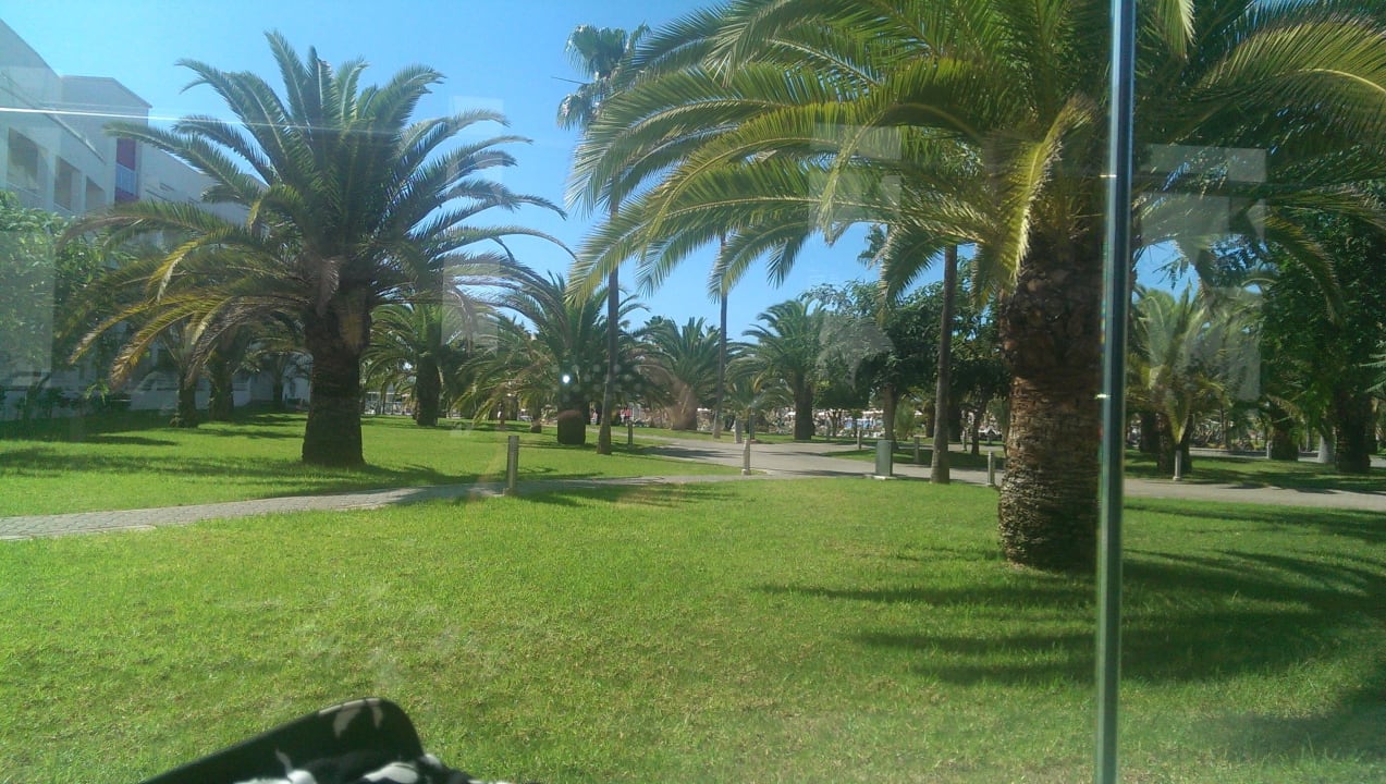 Anlage vom Frühstückstisch aus Hotel Riu Gran Canaria