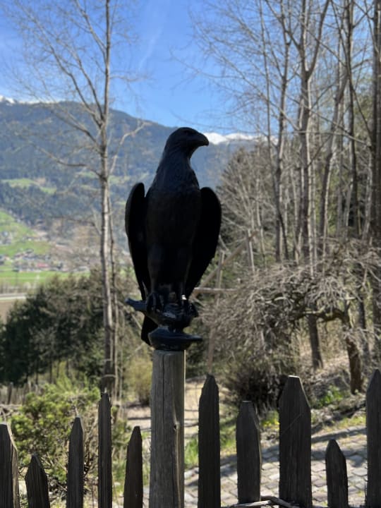 Sonstiges Das Kaltenbach Aparthotel